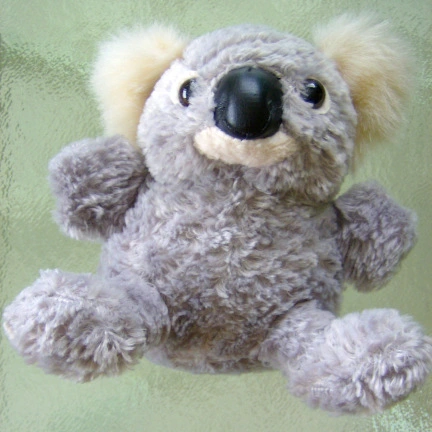 koala-squared2